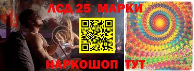 спиды Дубна