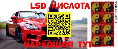 спиды Дубна