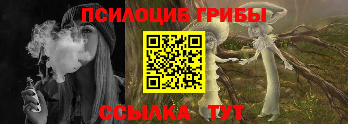 Псилоцибиновые грибы Cubensis  Вход с VPN  Магнитогорск 